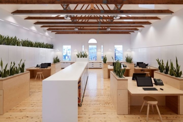 看似平淡无奇的绿植装饰，原来对办公空间起到